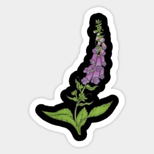 Foxglove Sticker